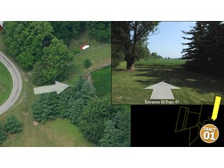 Property photo 5 - 470 Acres Mostly Productive Tillable Land - 6 Tracts